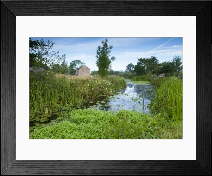 Framed Print : Picture No. 11671298 Framed Print : Picture No. 11671298