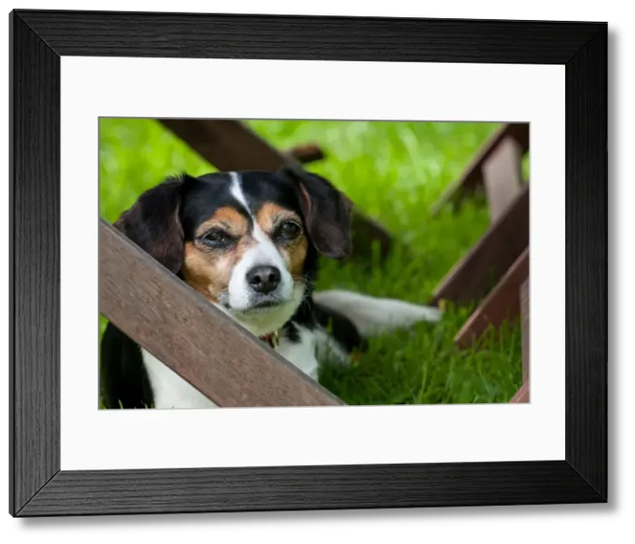Framed Print : Picture No. 11671310 Framed Print : Picture No. 11671310