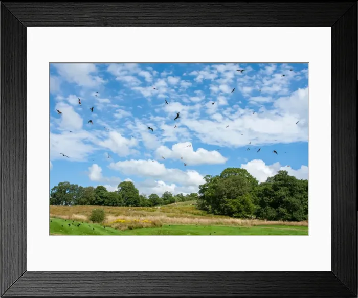 Framed Print : Picture No. 11671313 Framed Print : Picture No. 11671313