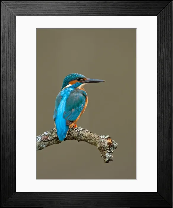 Framed Print : Picture No. 11671316 Framed Print : Picture No. 11671316