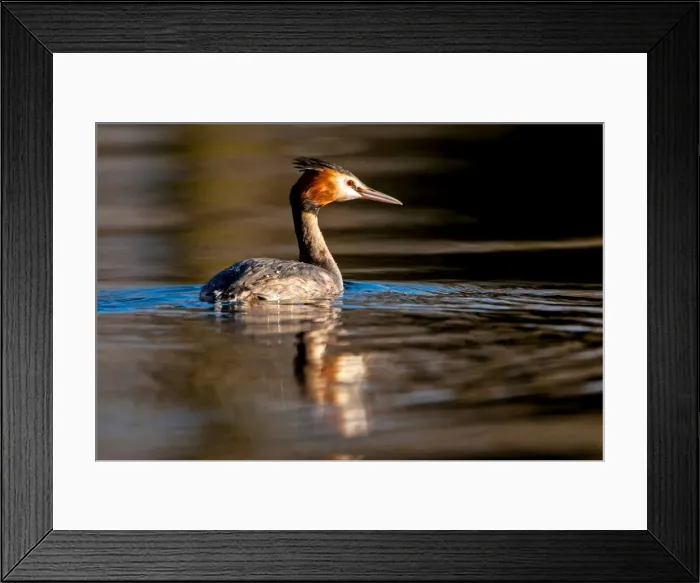 Framed Print : Picture No. 11671325 Framed Print : Picture No. 11671325