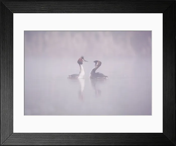 Framed Print : Picture No. 11671328 Framed Print : Picture No. 11671328