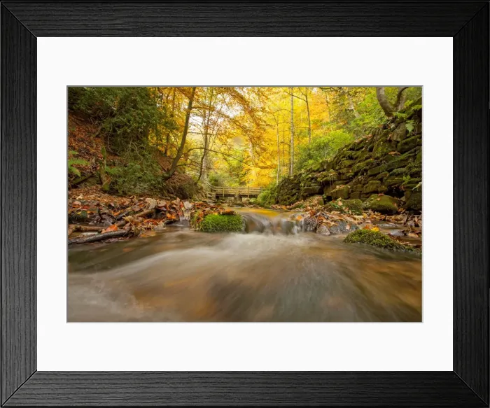 Framed Print : Picture No. 11671343 Framed Print : Picture No. 11671343