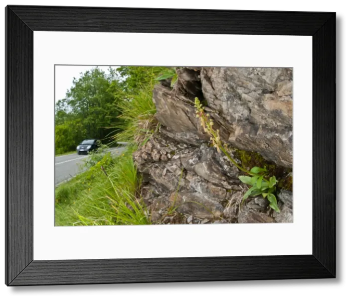 Framed Print : Picture No. 11671386 Framed Print : Picture No. 11671386