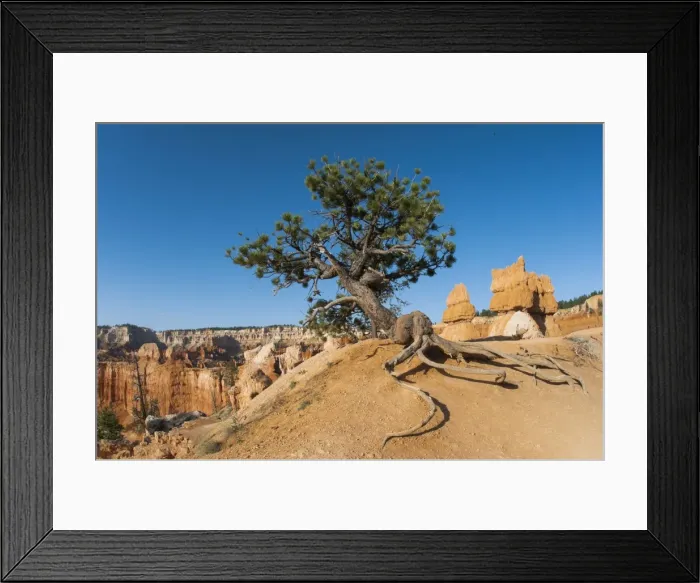 Framed Print : Picture No. 11671537 Framed Print : Picture No. 11671537