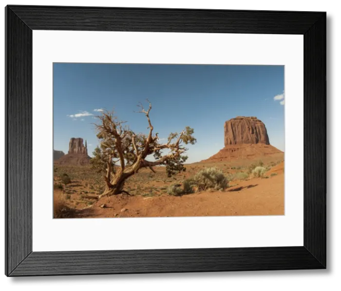 Framed Print : Picture No. 11671542 Framed Print : Picture No. 11671542