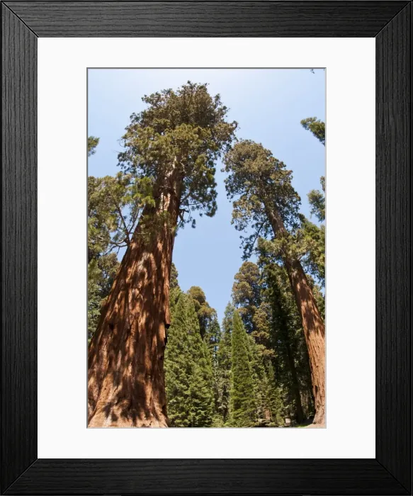 Framed Print : Picture No. 11671544 Framed Print : Picture No. 11671544