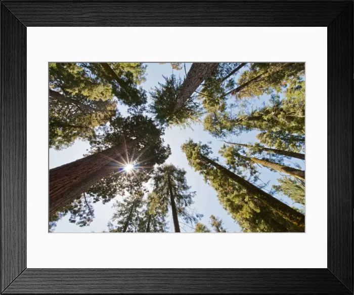 Framed Print : Picture No. 11671545 Framed Print : Picture No. 11671545