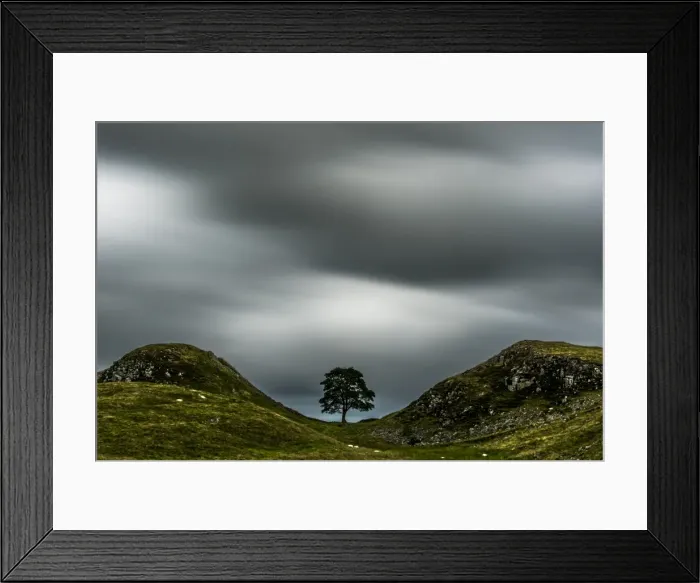 Framed Print : Sycamore Gap Framed Print : Sycamore Gap