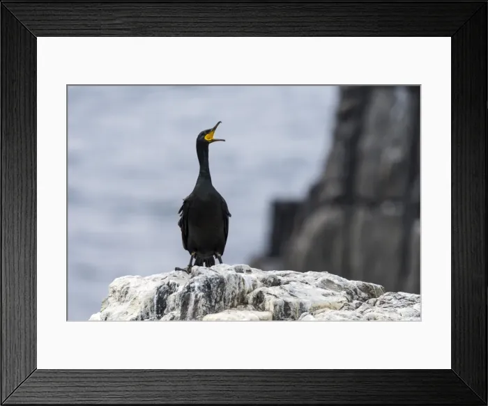 Framed Print : Picture No. 11671849 Framed Print : Picture No. 11671849