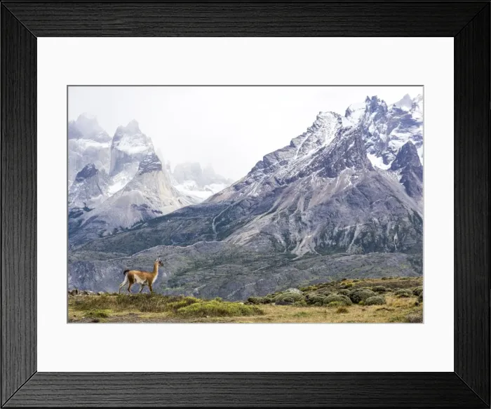 Framed Print : Picture No. 11671872 Framed Print : Picture No. 11671872