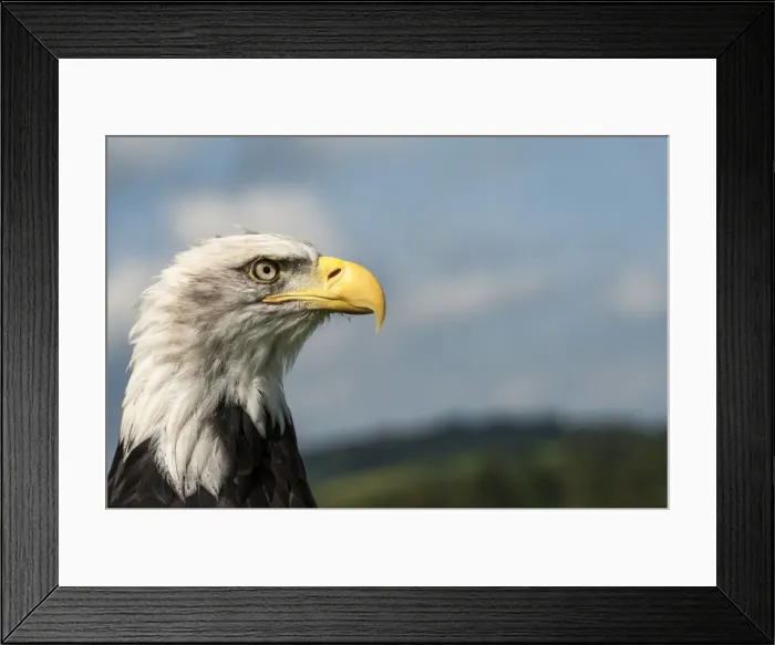 Framed Print : Picture No. 11671882 Framed Print : Picture No. 11671882