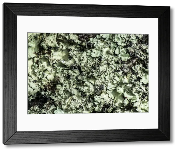 Framed Print : Picture No. 11671883 Framed Print : Picture No. 11671883