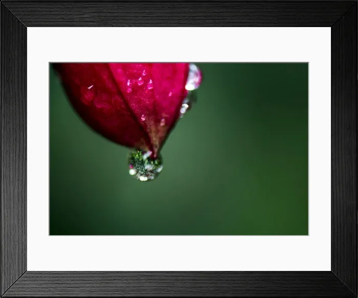 Framed Print : Picture No. 11671893 Framed Print : Picture No. 11671893