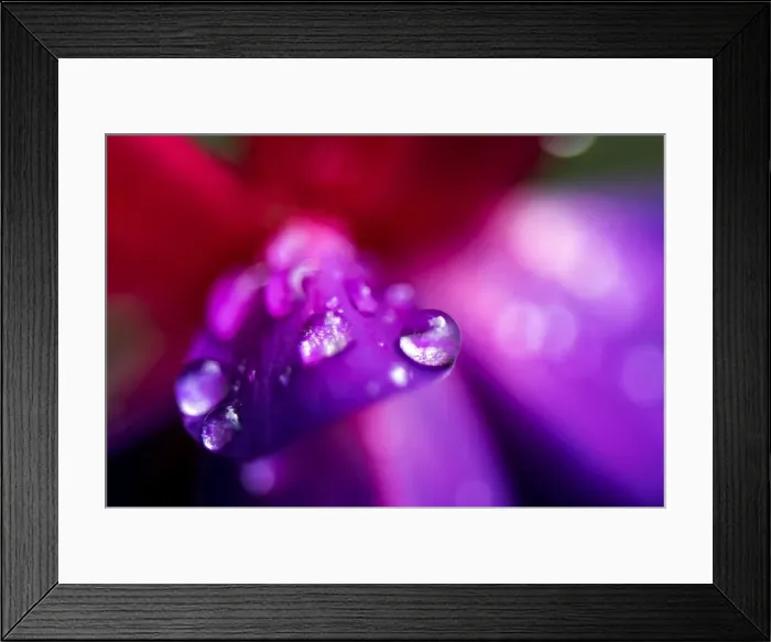 Framed Print : Picture No. 11671894 Framed Print : Picture No. 11671894
