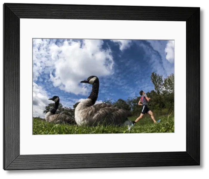 Framed Print : Picture No. 11671897 Framed Print : Picture No. 11671897