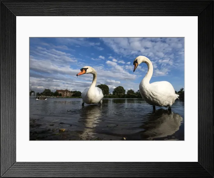Framed Print : Picture No. 11671898 Framed Print : Picture No. 11671898