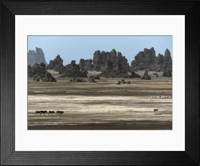 Framed Print : Picture No. 11671901