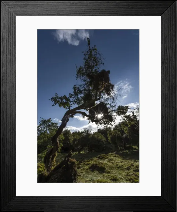 Framed Print : Picture No. 11671906 Framed Print : Picture No. 11671906