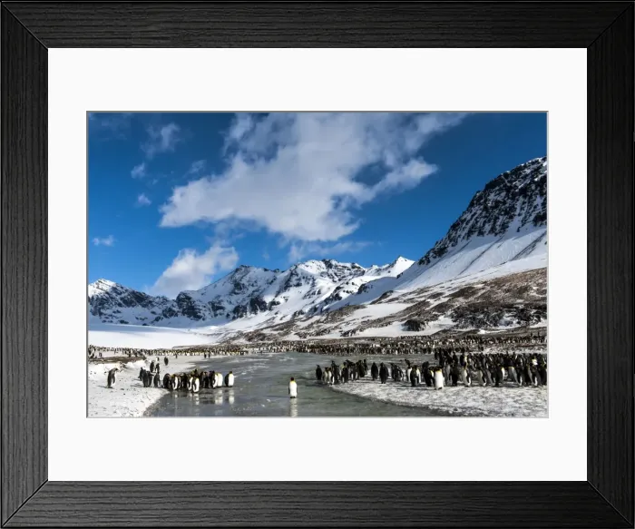 Framed Print : Picture No. 11671907 Framed Print : Picture No. 11671907