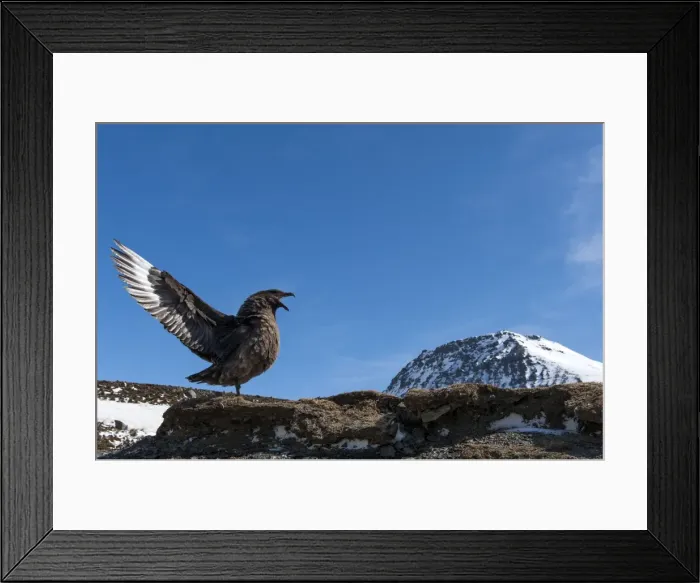 Framed Print : Picture No. 11671910 Framed Print : Picture No. 11671910