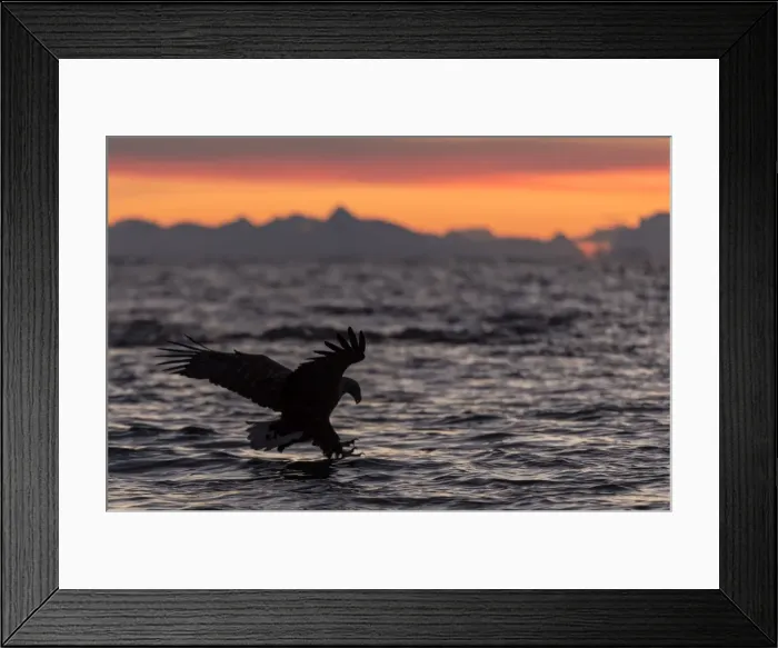 Framed Print : Picture No. 11671916 Framed Print : Picture No. 11671916
