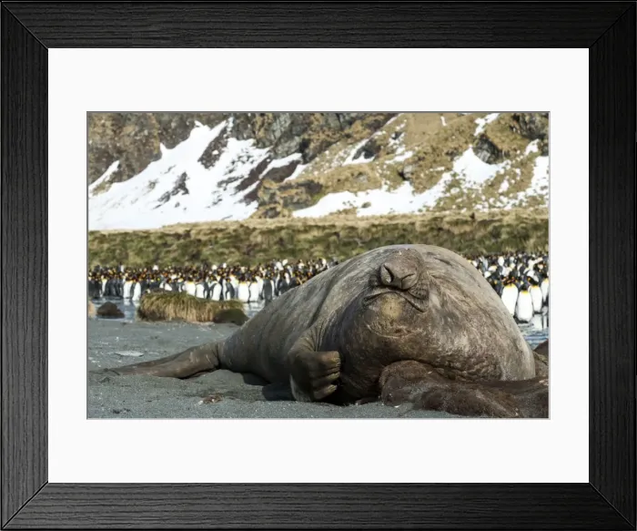 Framed Print : Picture No. 11671917 Framed Print : Picture No. 11671917