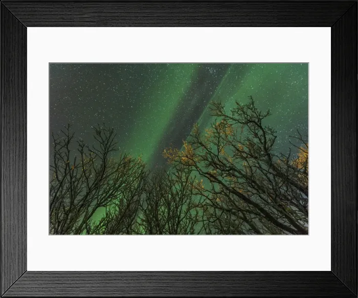 Framed Print : Picture No. 11671919 Framed Print : Picture No. 11671919
