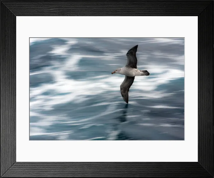 Framed Print : Picture No. 11671931 Framed Print : Picture No. 11671931