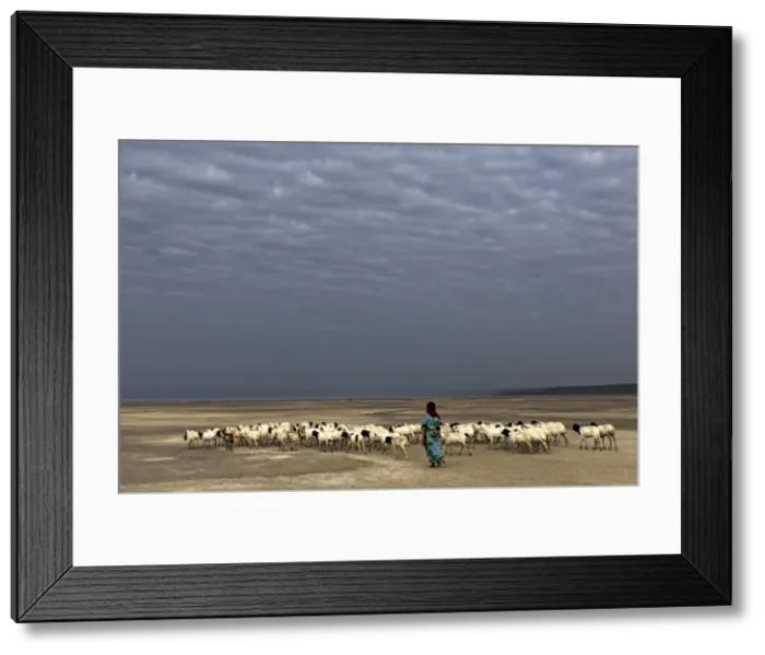 Framed Print : Picture No. 11671932 Framed Print : Picture No. 11671932