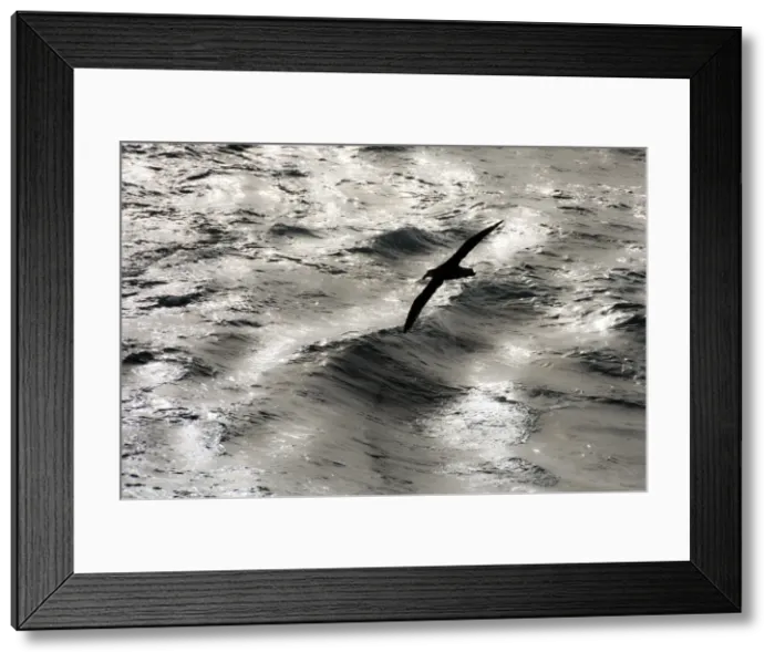 Framed Print : Picture No. 11671935 Framed Print : Picture No. 11671935