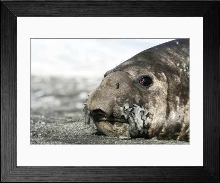 Framed Print : Picture No. 11671936 Framed Print : Picture No. 11671936
