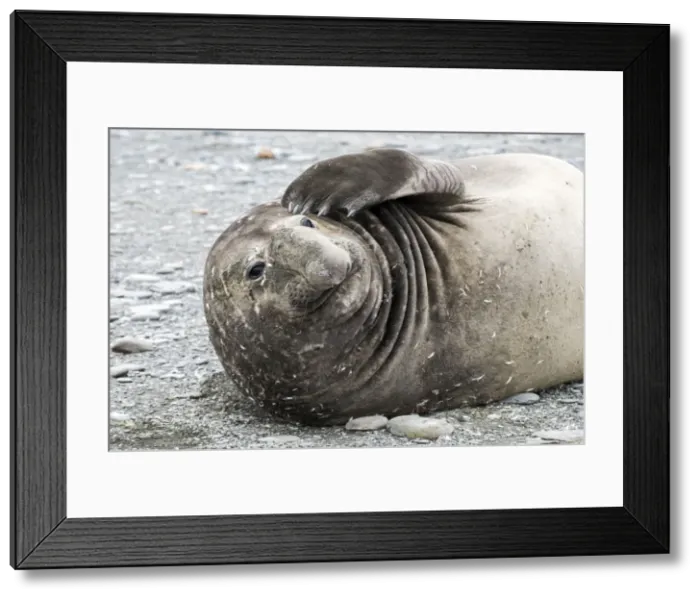Framed Print : Picture No. 11671941 Framed Print : Picture No. 11671941