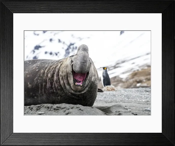 Framed Print : Picture No. 11671942 Framed Print : Picture No. 11671942