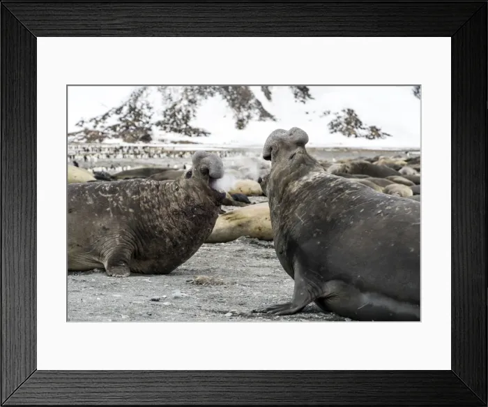 Framed Print : Picture No. 11671943 Framed Print : Picture No. 11671943