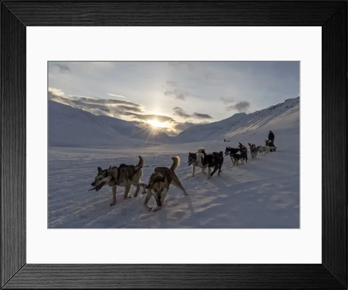 Framed Print : Picture No. 11671957 Framed Print : Picture No. 11671957