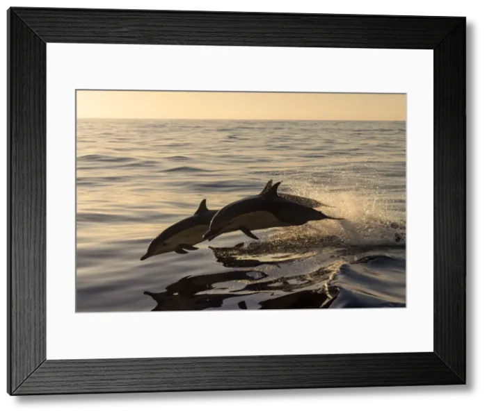 Framed Print : Picture No. 11671961 Framed Print : Picture No. 11671961