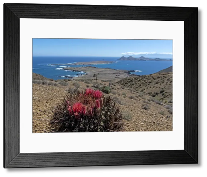 Framed Print : Picture No. 11671962 Framed Print : Picture No. 11671962