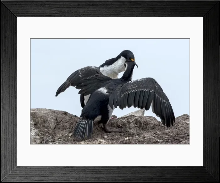 Framed Print : Picture No. 11671976 Framed Print : Picture No. 11671976