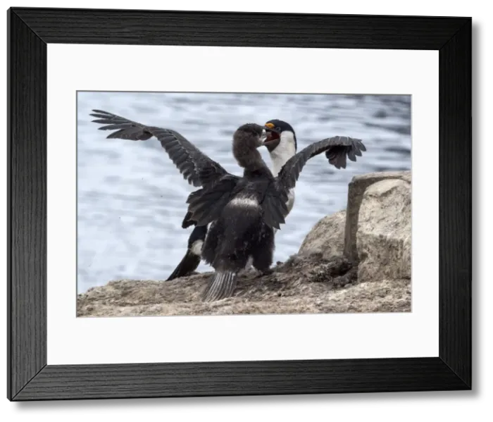 Framed Print : Picture No. 11671977 Framed Print : Picture No. 11671977