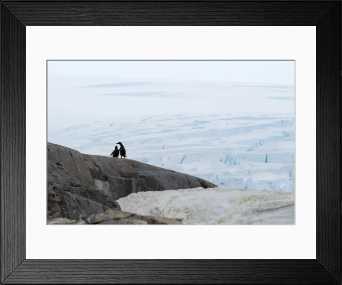 Framed Print : Picture No. 11671979 Framed Print : Picture No. 11671979