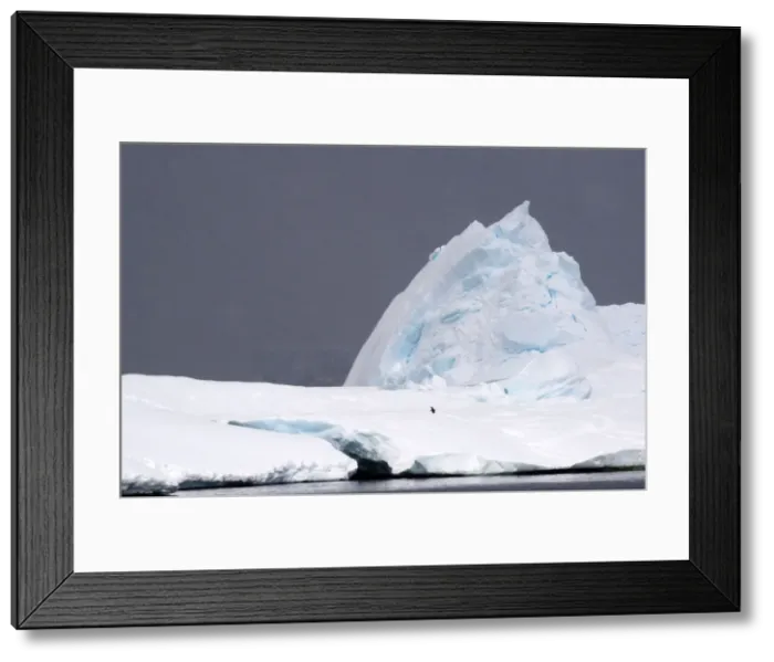Framed Print : Picture No. 11671988 Framed Print : Picture No. 11671988