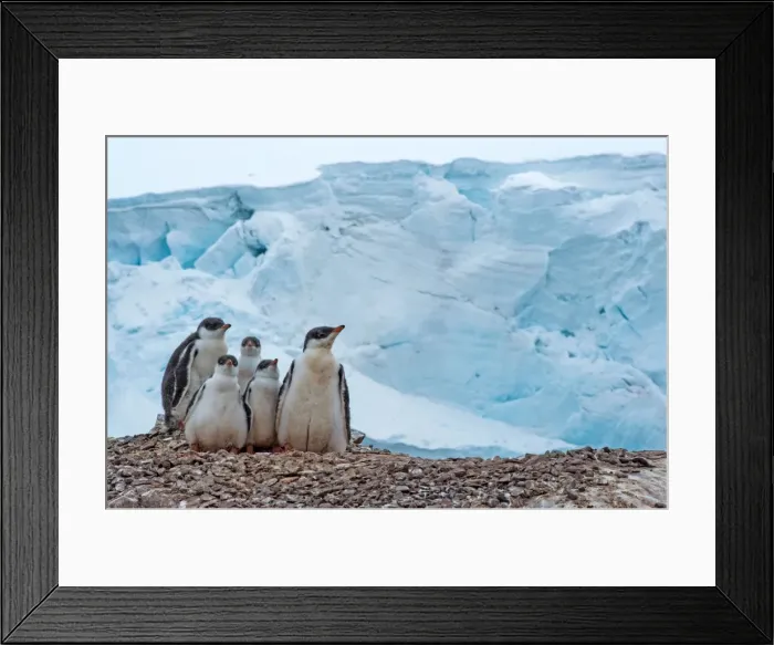 Framed Print : Picture No. 11671996 Framed Print : Picture No. 11671996