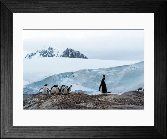 Framed Print : Picture No. 11671997 Framed Print : Picture No. 11671997