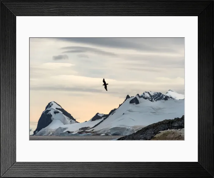 Framed Print : Picture No. 11672007 Framed Print : Picture No. 11672007