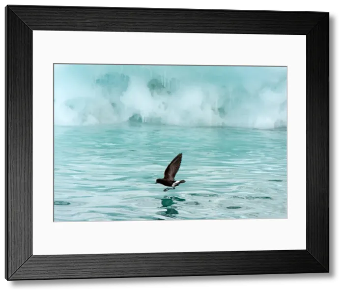 Framed Print : Picture No. 11672008 Framed Print : Picture No. 11672008