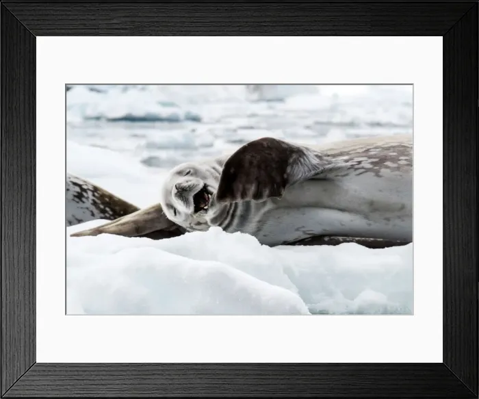Framed Print : Picture No. 11672011 Framed Print : Picture No. 11672011