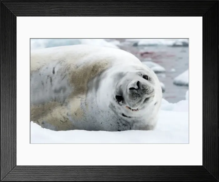 Framed Print : Picture No. 11672010 Framed Print : Picture No. 11672010