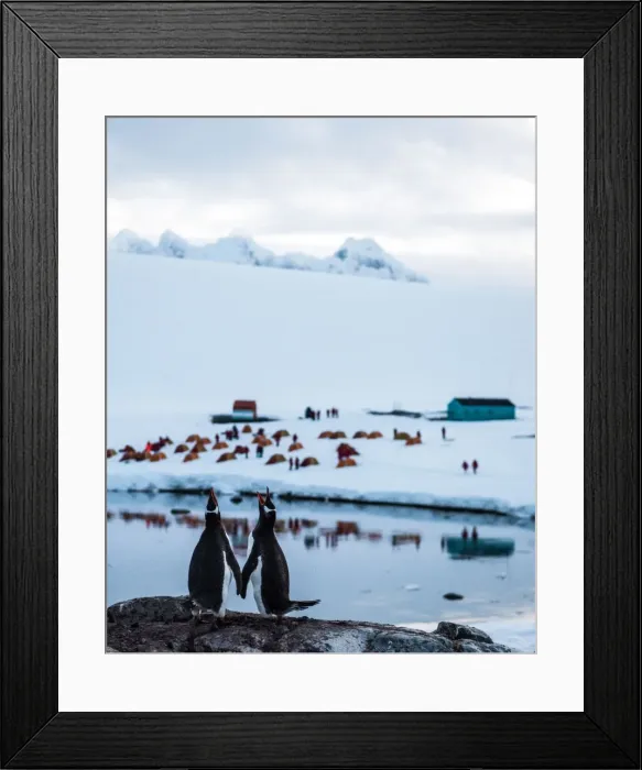 Framed Print : Picture No. 11672019 Framed Print : Picture No. 11672019