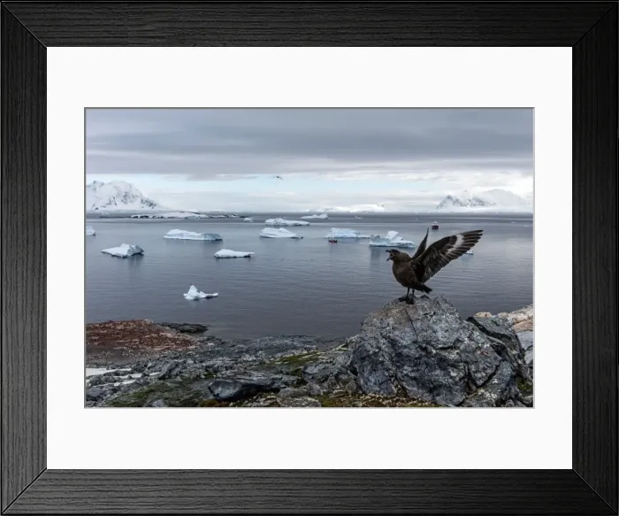 Framed Print : Picture No. 11672018 Framed Print : Picture No. 11672018